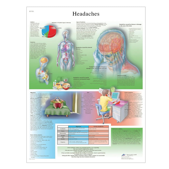 English Anatomical chart