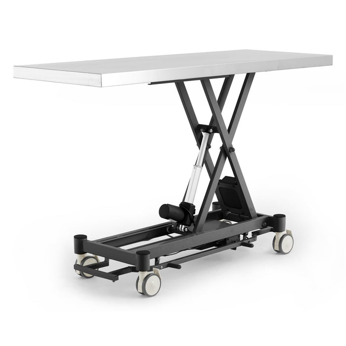 Coinfycare electric table for veterinarian