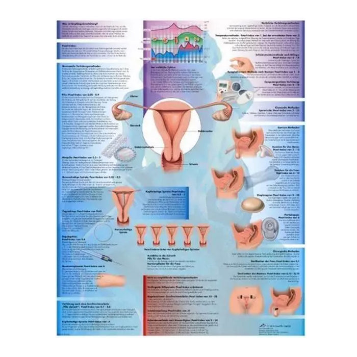 French anatomical charts