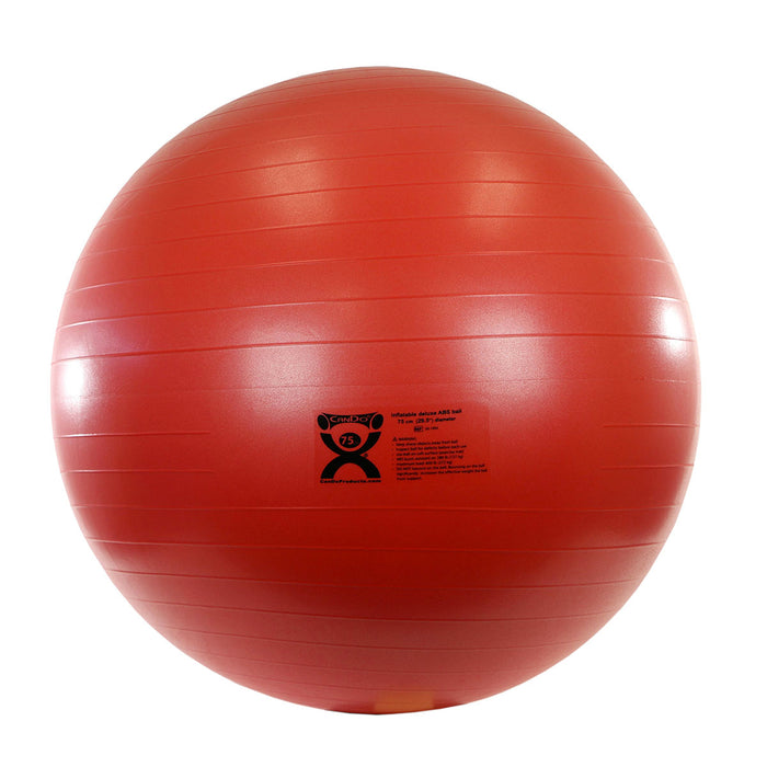 Cando ABS Exercise Ball Deluxe without box