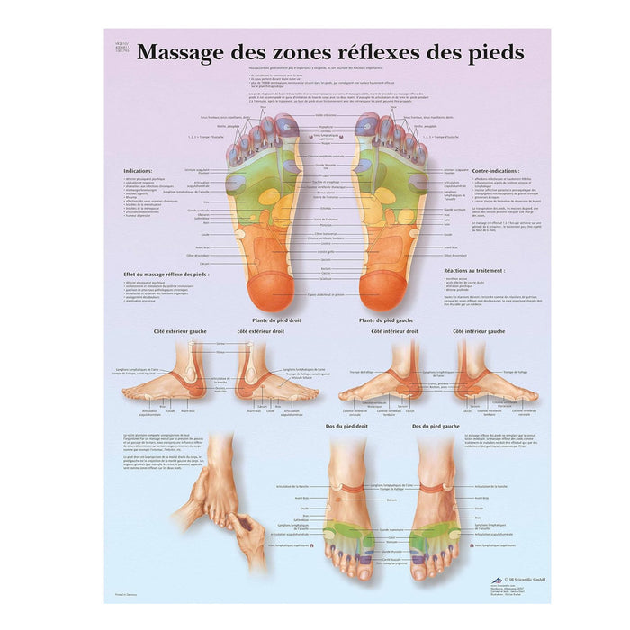 French anatomical charts