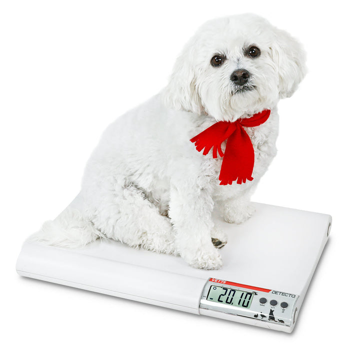 Detecto small animal veterinary scale 12" x 14" 75lbs x 0.2lb (35 kg x .01 kg)