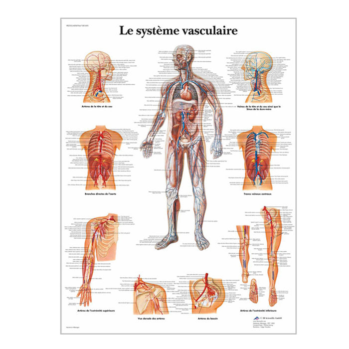 French anatomical charts