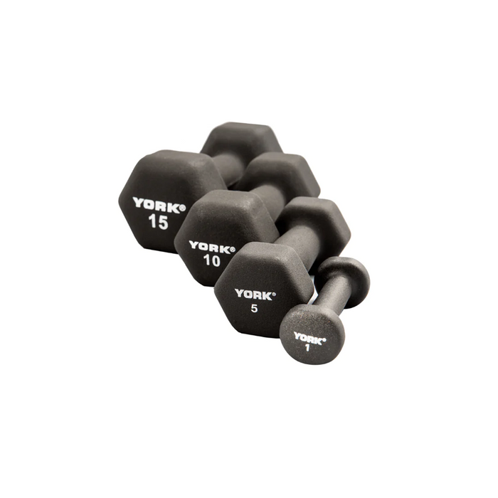 Neoprene dumbell,12lbs, 1 un