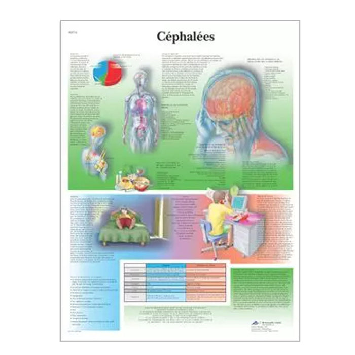 French anatomical charts