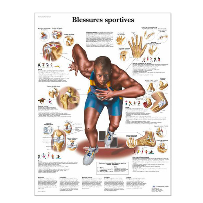 French anatomical charts