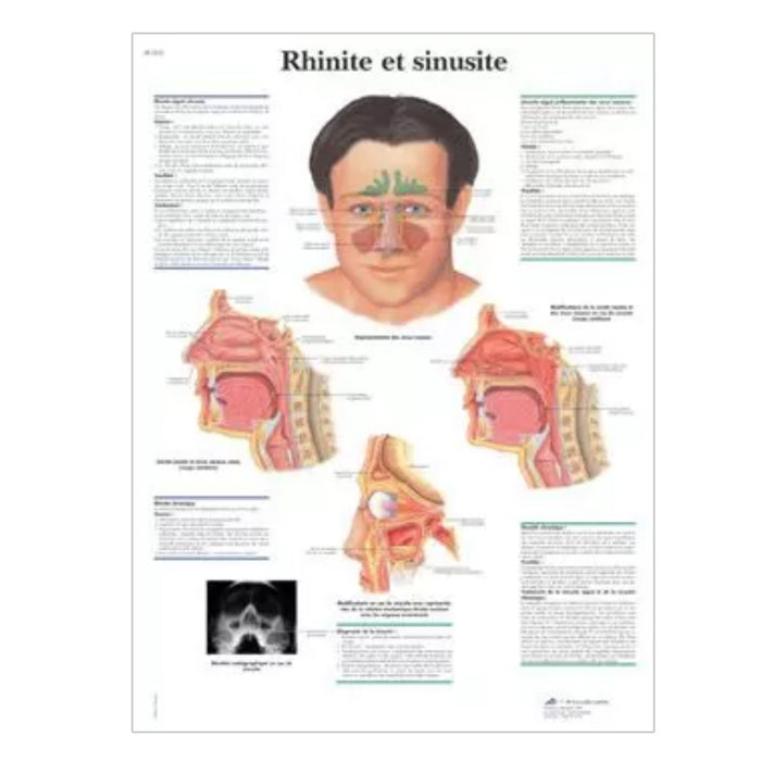 French anatomical charts