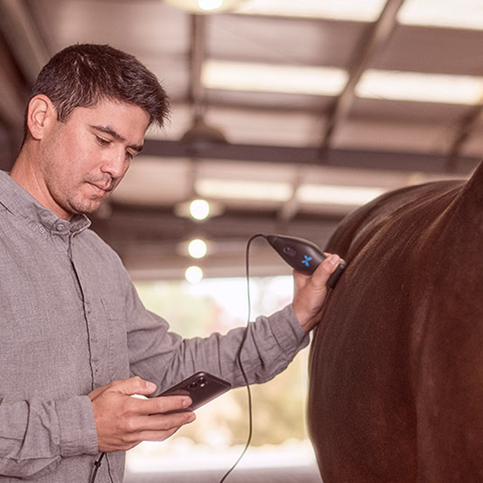 Échographe vétérinaire Butterfly IQ+ VET (avec chargeur USB-C)