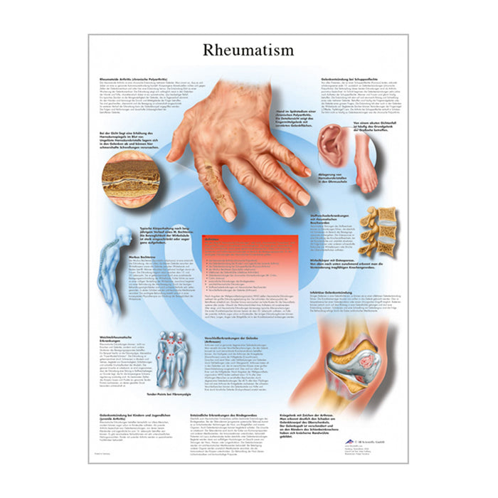 English Anatomical chart