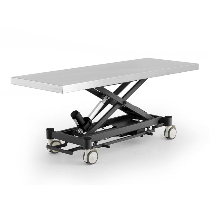 Coinfycare electric table for veterinarian