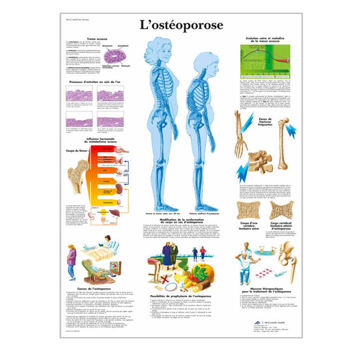 French anatomical charts