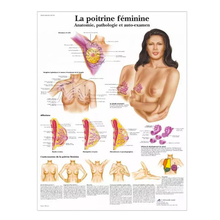 French anatomical charts