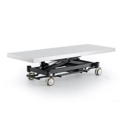 Coinfycare electric table for veterinarian